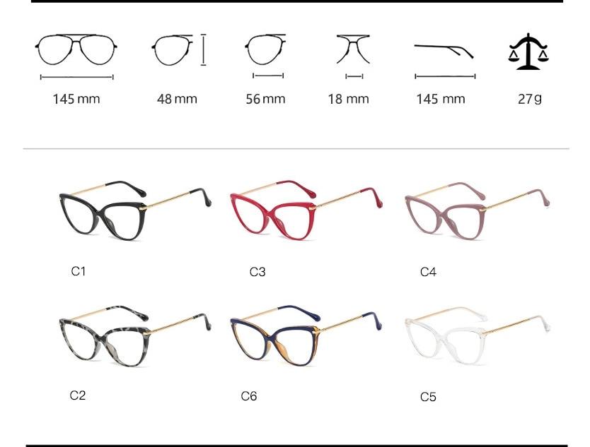 Retro Cat Eye Glasses Frames 02